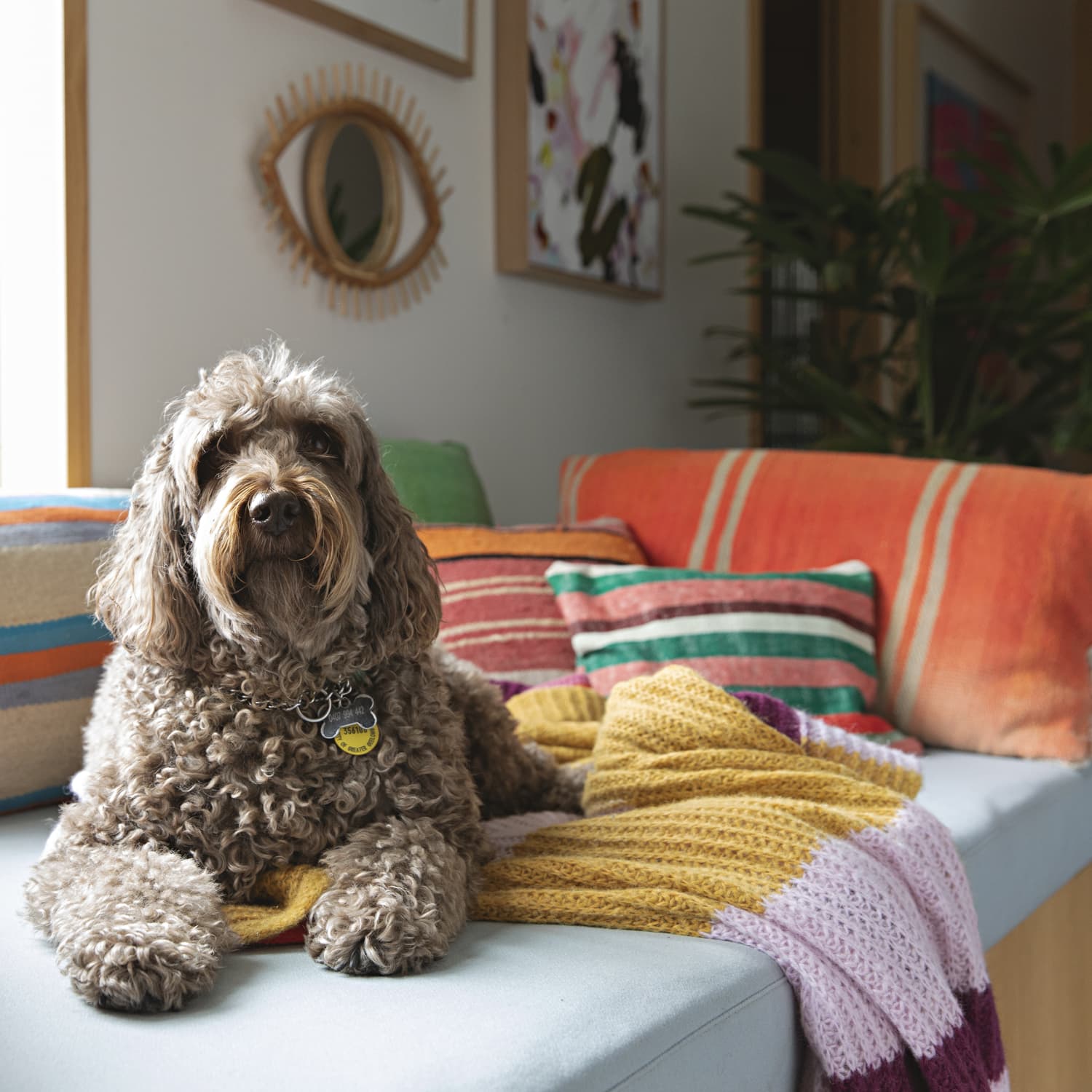Diaper genie for dog sales waste